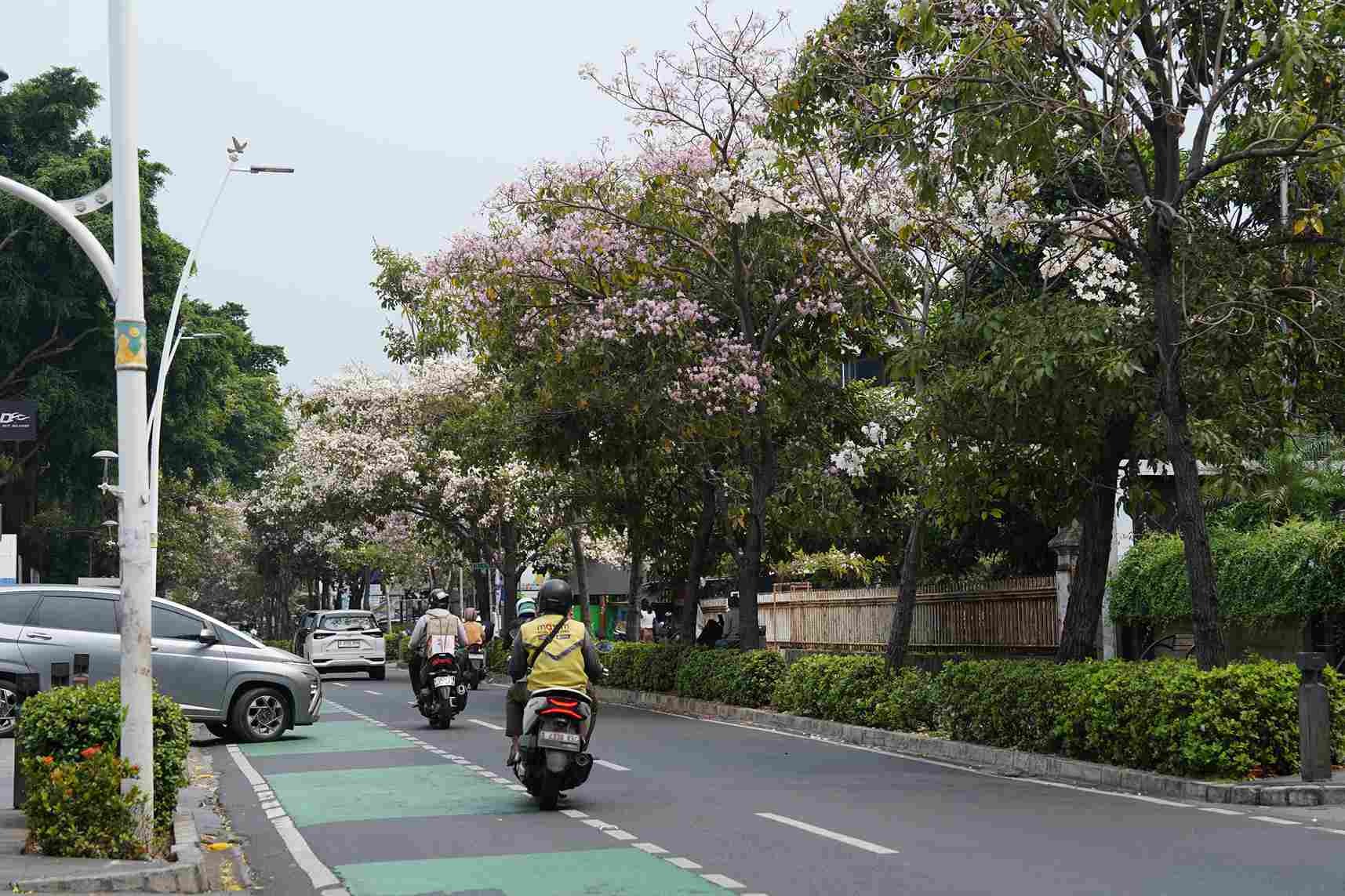 Smart Environment tabebuya