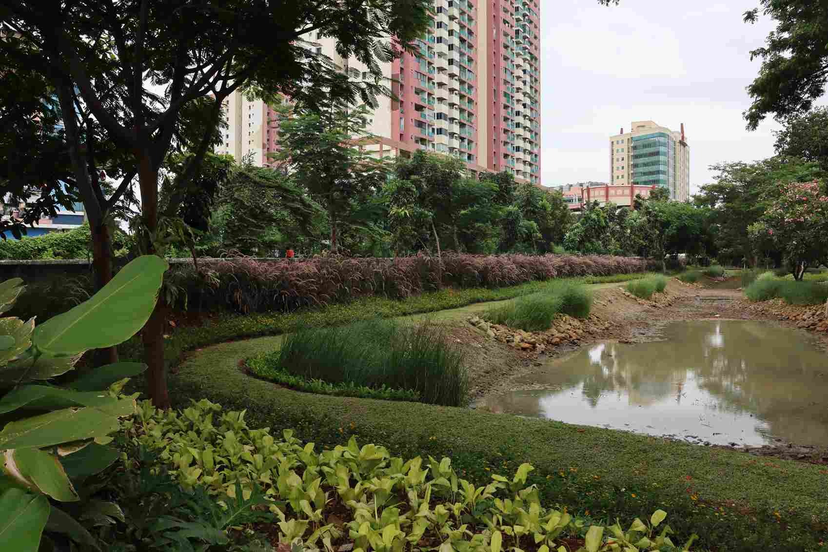 Bioswale menjadi solusi hijau Jakarta untuk atasi genangan. Kenali cara kerjanya dalam menampung dan menyerap air hujan secara alami.